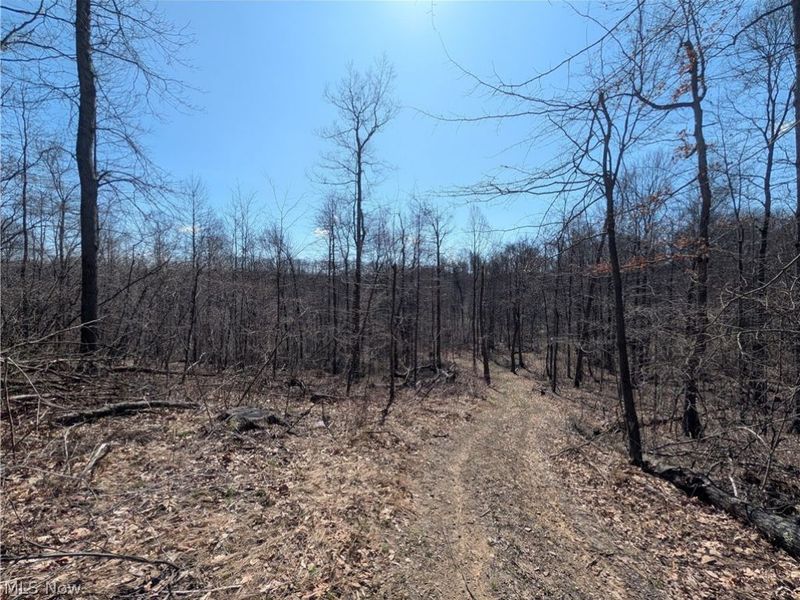 Township Road 289, Hammondsville, OH 43945 Photo 8