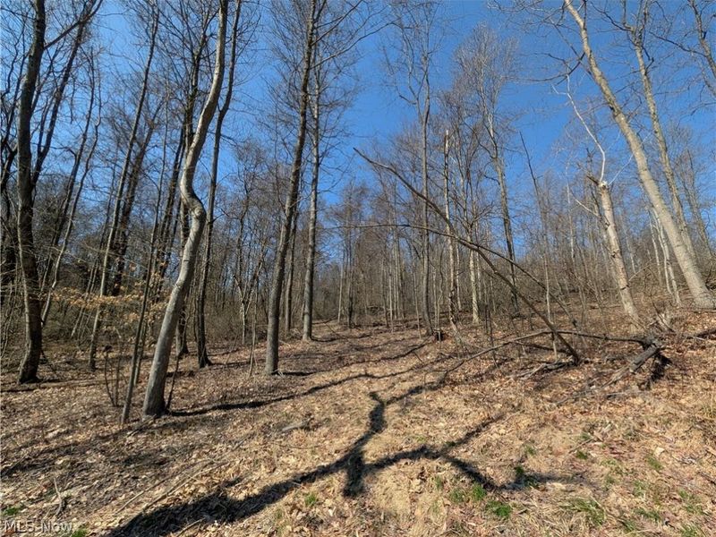 Township Road 289, Hammondsville, OH 43945 Photo 9