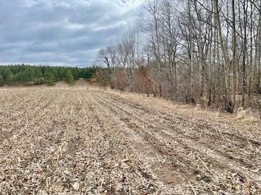 TBD CO HWY 1, Underwood, MN 56586