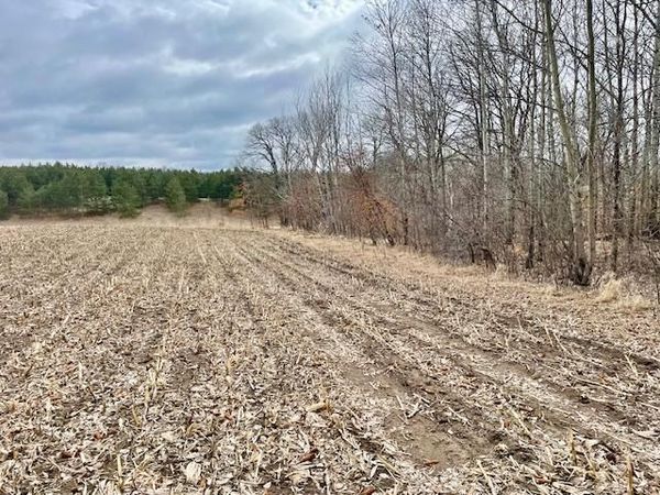 TBD CO HWY 1 , Underwood, MN 56586