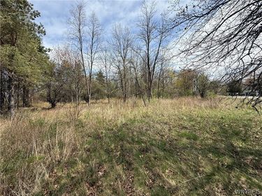 1537-1557 Braley Road N, Youngstown, NY 14174