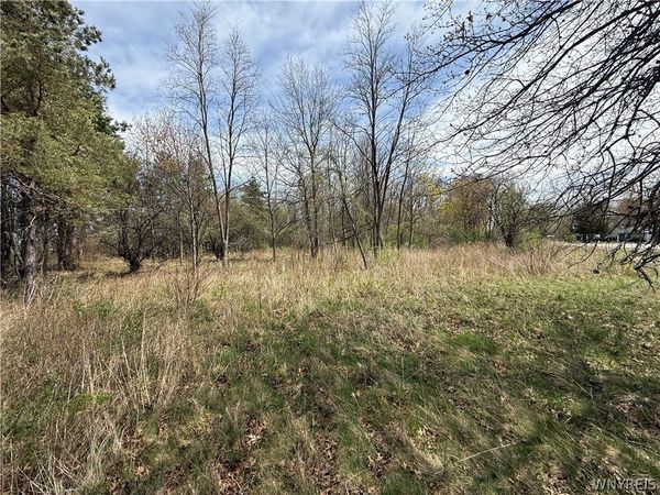 1537-1557 Braley Road N, Youngstown, NY 14174