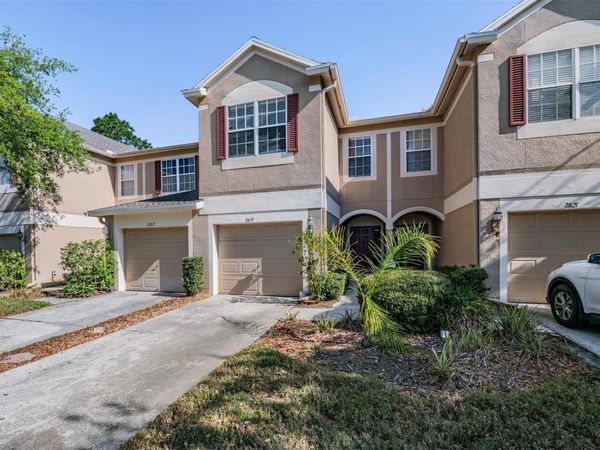 2819 CONCH HOLLOW DRIVE, BRANDON, FL 33511