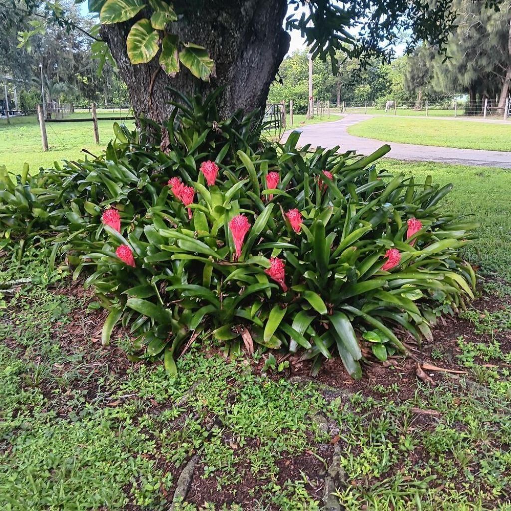 710 Evans Road , Labelle, FL 33935 Photo