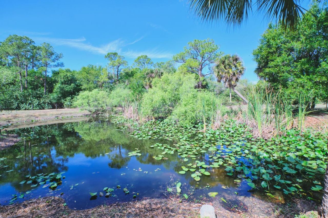 710 Evans Road , Labelle, FL 33935 Photo