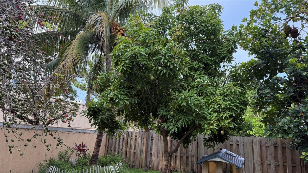 2007 NE 6th Ct, Homestead, FL 33033 Photo