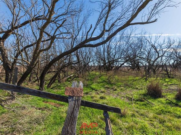 T B D County Road 260 , Avoca, TX 79503