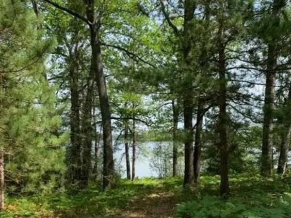 Lot 3 McCollum Lake Road, Curran, MI 48728