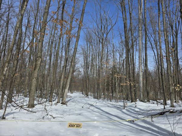 3037 N Weaver Road, Fairview, MI 48621