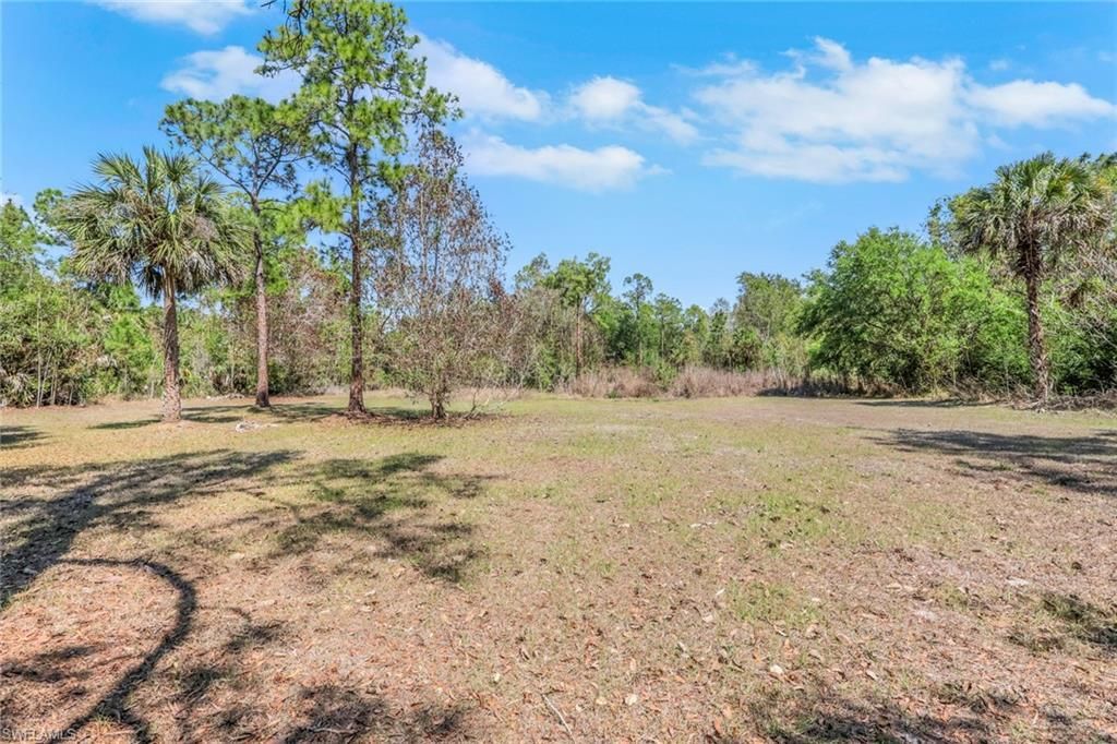 2977 4th Ave Se, Naples, FL 34117 Photo