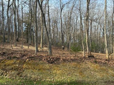 SM Lot #50 Donald Ross Trl , Hot Springs, VA 24445