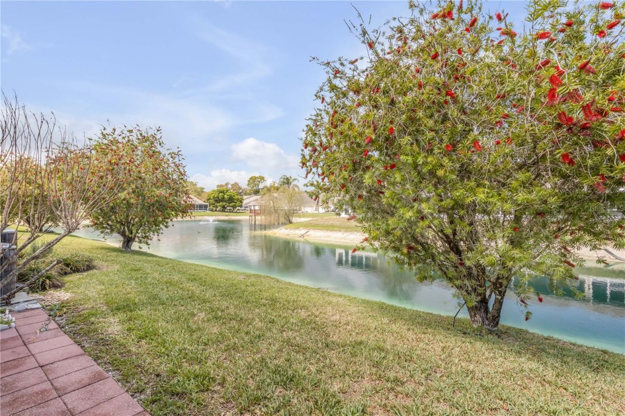 2286 Hawks Cove Circle, New Smyrna Beach, FL 32168 Photo
