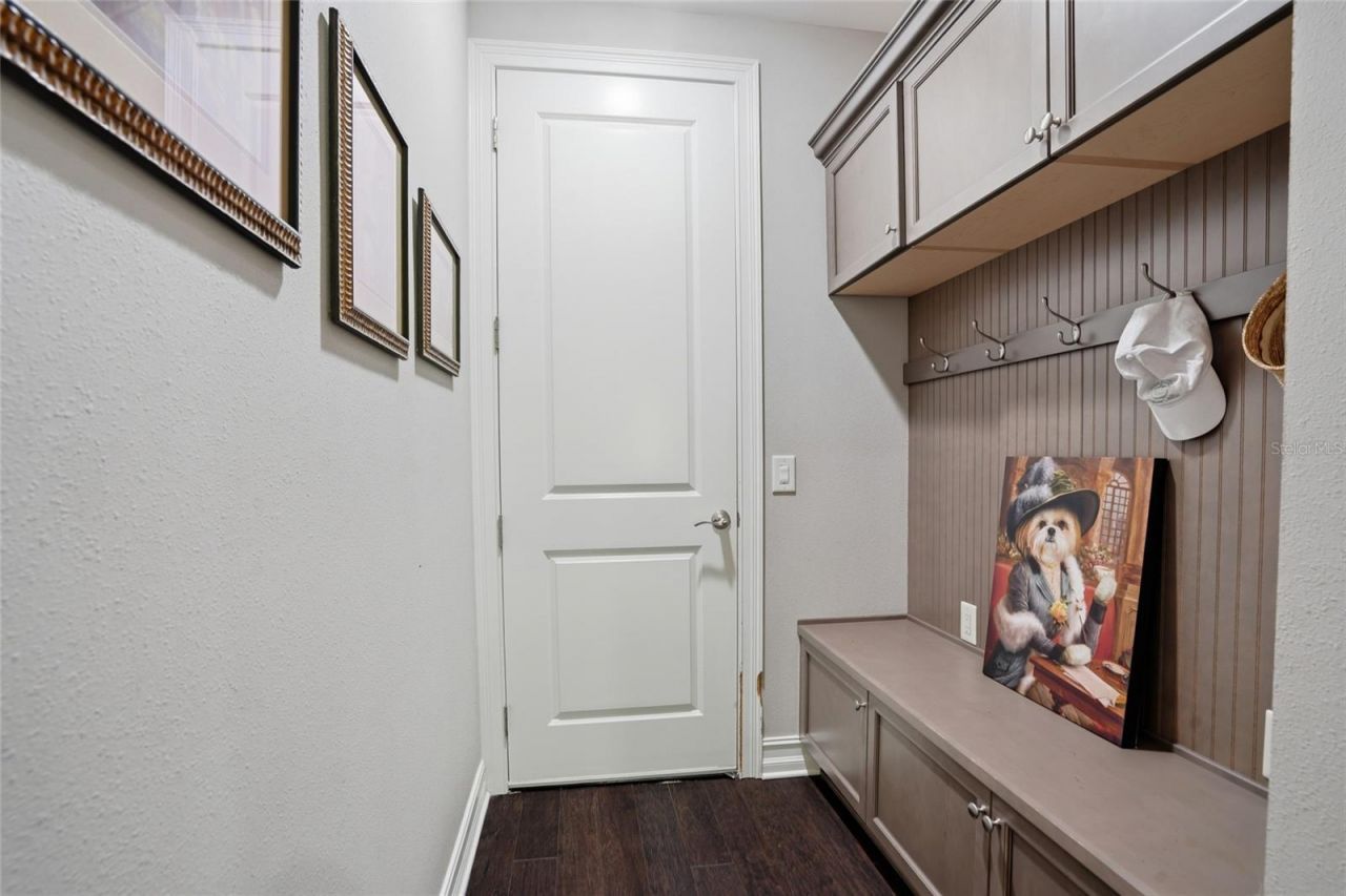 28555 Corbara Place, Wesley Chapel, FL 33543 Photo