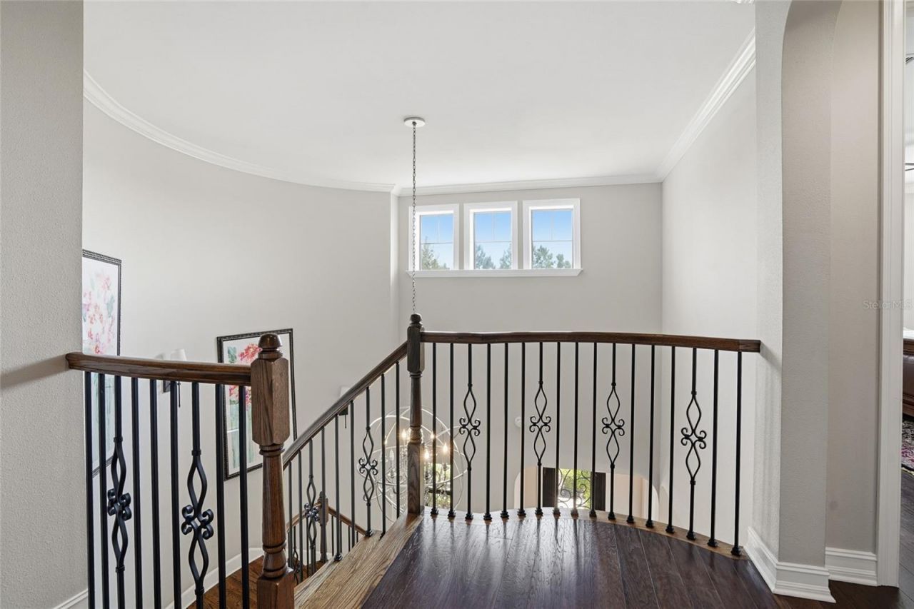 28555 Corbara Place, Wesley Chapel, FL 33543 Photo