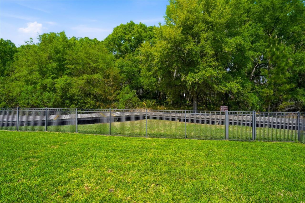 28555 Corbara Place, Wesley Chapel, FL 33543 Photo