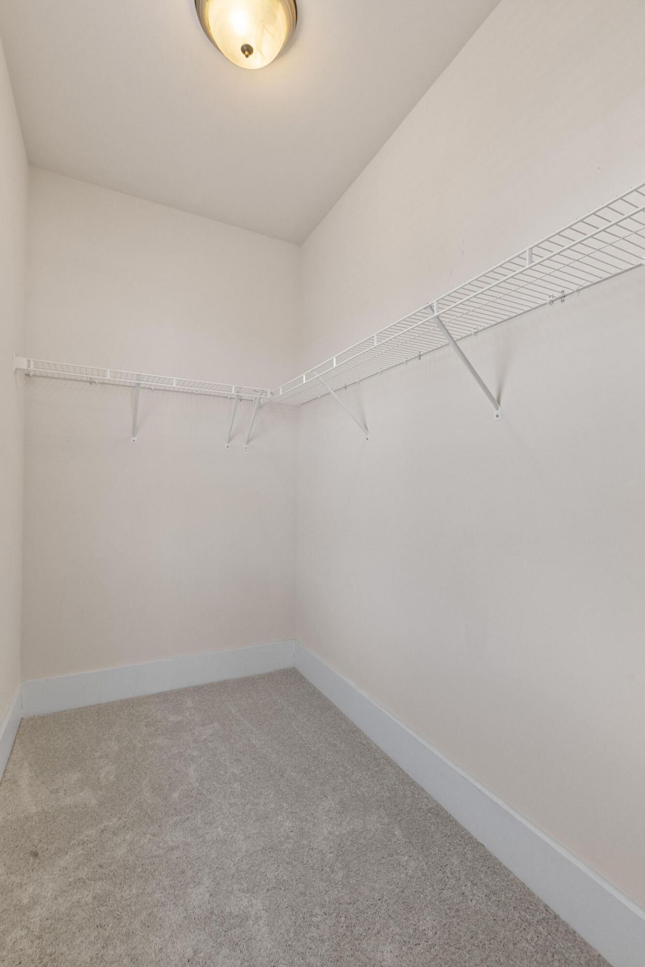 309 Scholar Way Photo 29