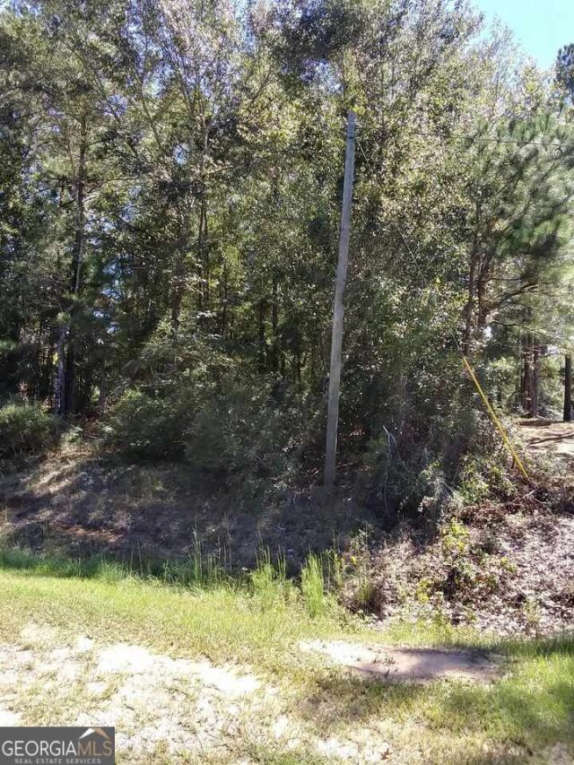 0 Glover Road, Harrison, GA 31035 Main Photo