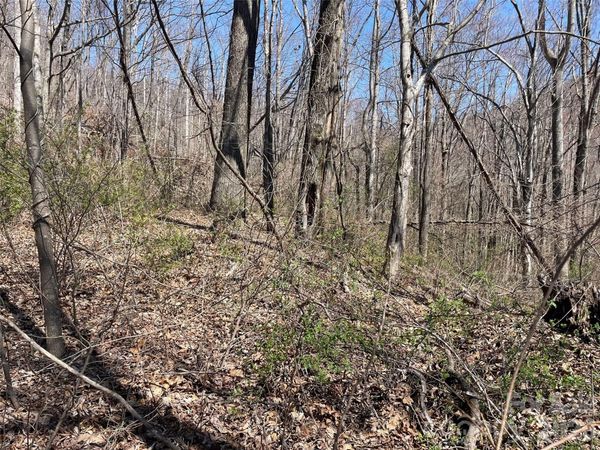 182 Old Mountain Pass , Hendersonville, NC 28792