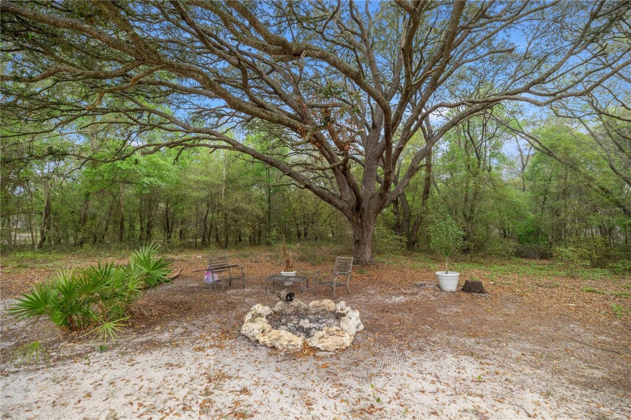 2 Magnolia Pass Trace , Ocklawaha, FL 32179 Photo