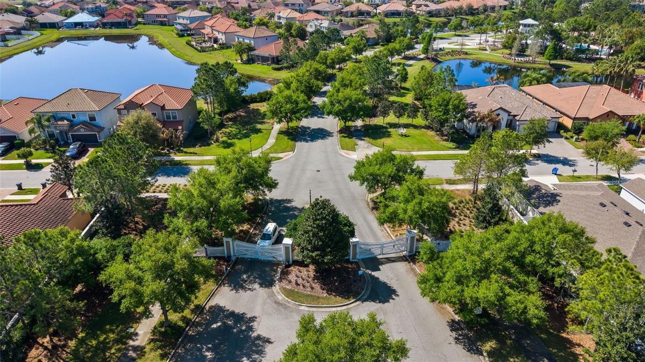 13204 Waterleaf Garden Circle , Riverview, FL 33579 Photo