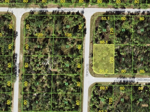 18358 BUTTERCUP AVENUE, PORT CHARLOTTE, FL 33954