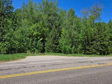 TBD 21 Nett Lake Road, Orr, MN 55771
