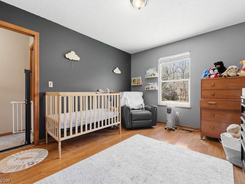 1719 Wilson Road, Akron, OH 44312 Photo 25