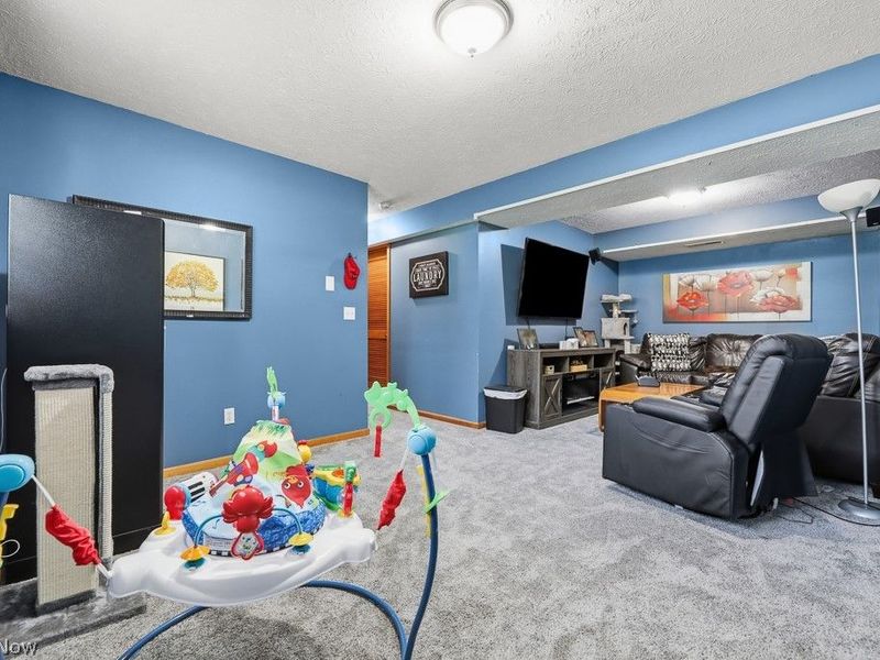 1719 Wilson Road, Akron, OH 44312 Photo 29