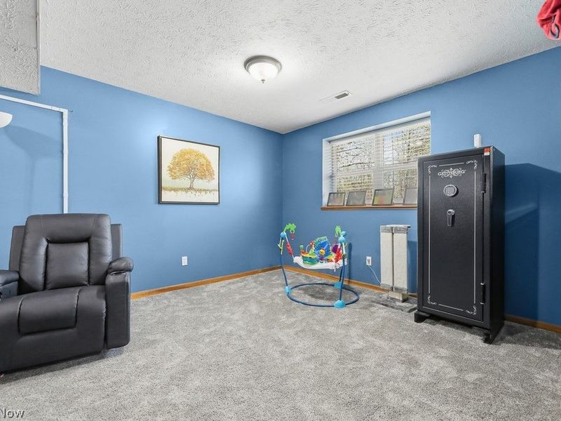 1719 Wilson Road, Akron, OH 44312 Photo 30