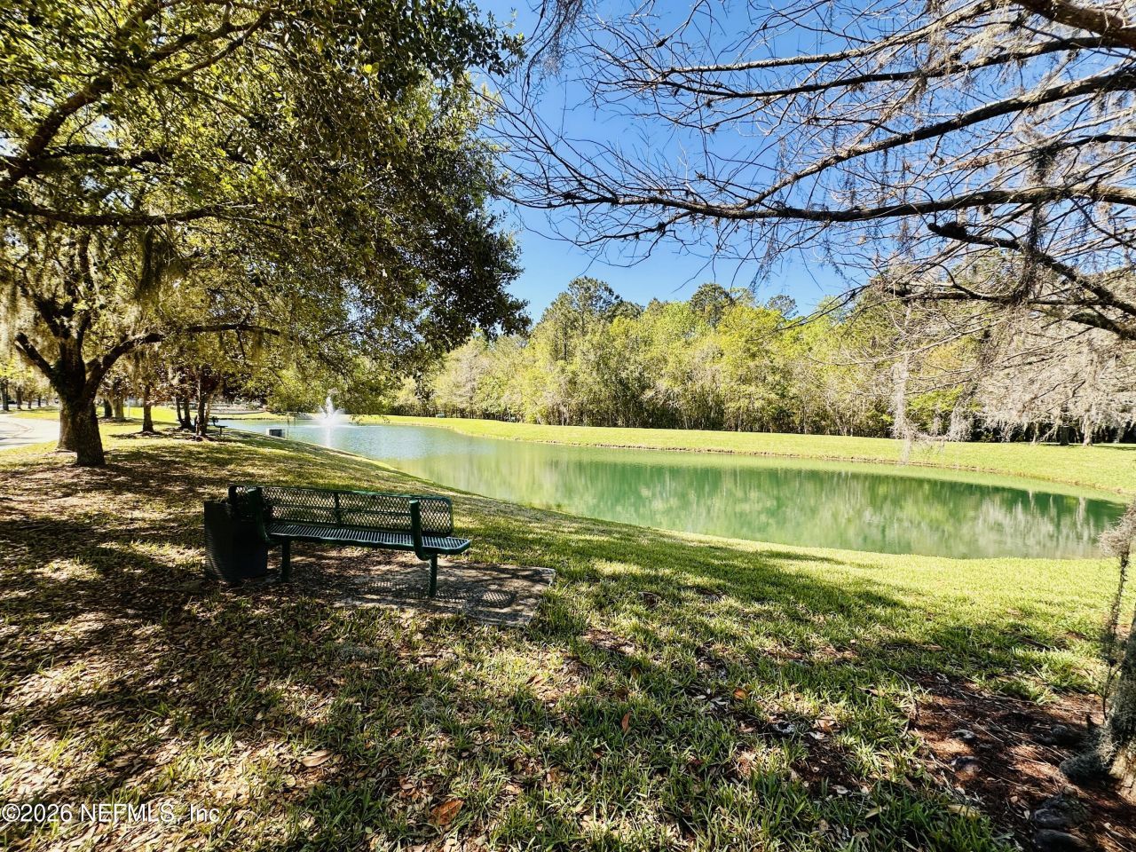 8498 Climbing Ivy Trail S, Jacksonville, FL 32216 Photo