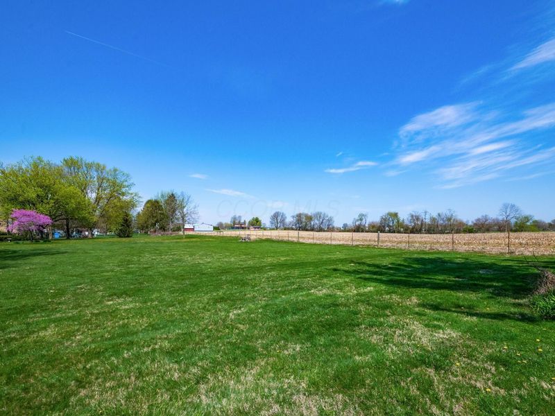 10590 Marie Lane, Pickerington, OH 43147 Photo 47
