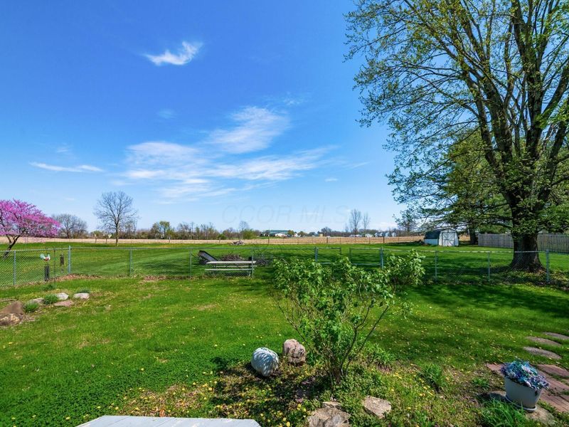 10590 Marie Lane, Pickerington, OH 43147 Photo 50