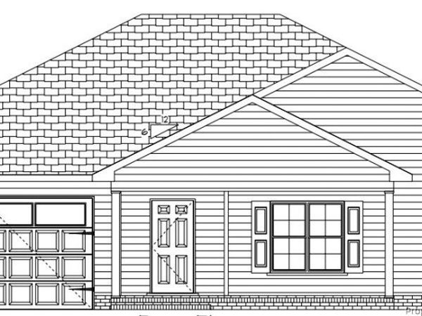 26700 Peach Orchard Road, Wagram, NC 28396