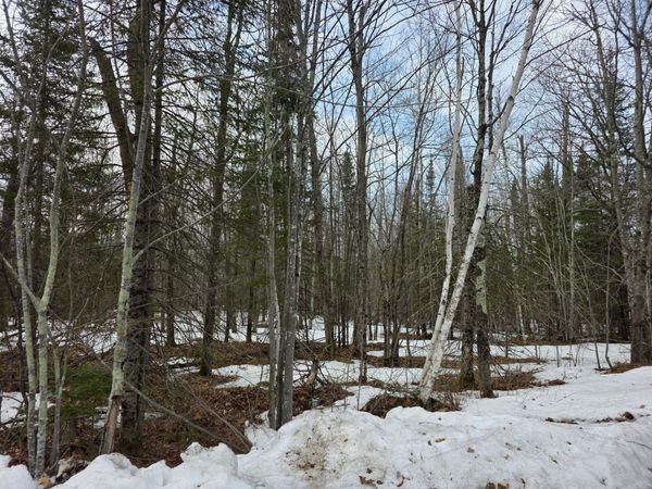 TBD Stark Road , Cloquet, MN 55720