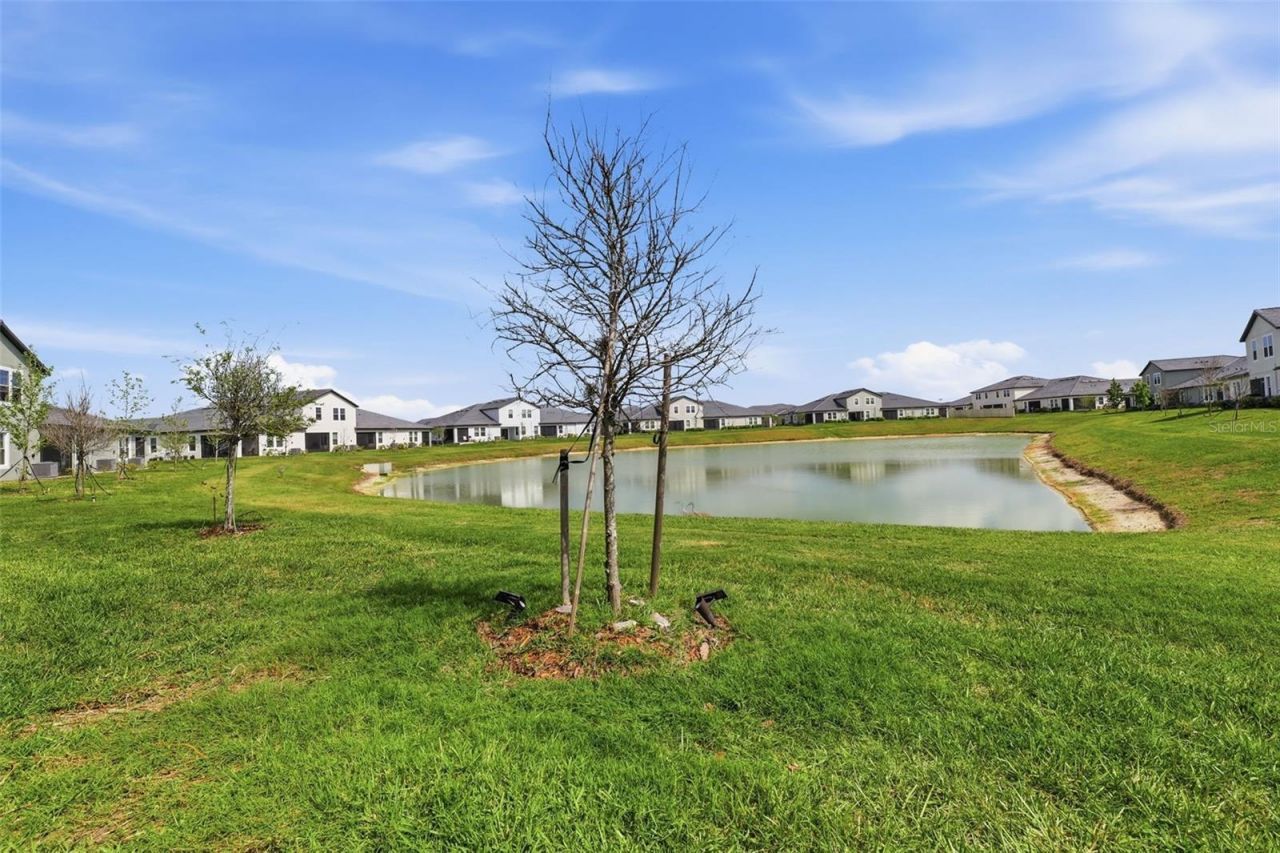 10799 Gable Dig Loop , San Antonio, FL 33576 Photo