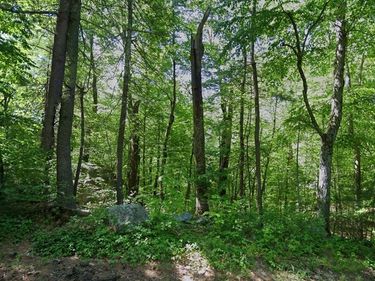 150 Hazel St, Uxbridge, MA 01569