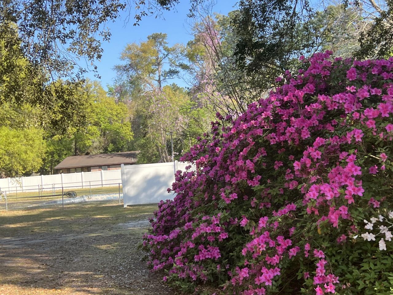 204 Gervais Street Photo 10