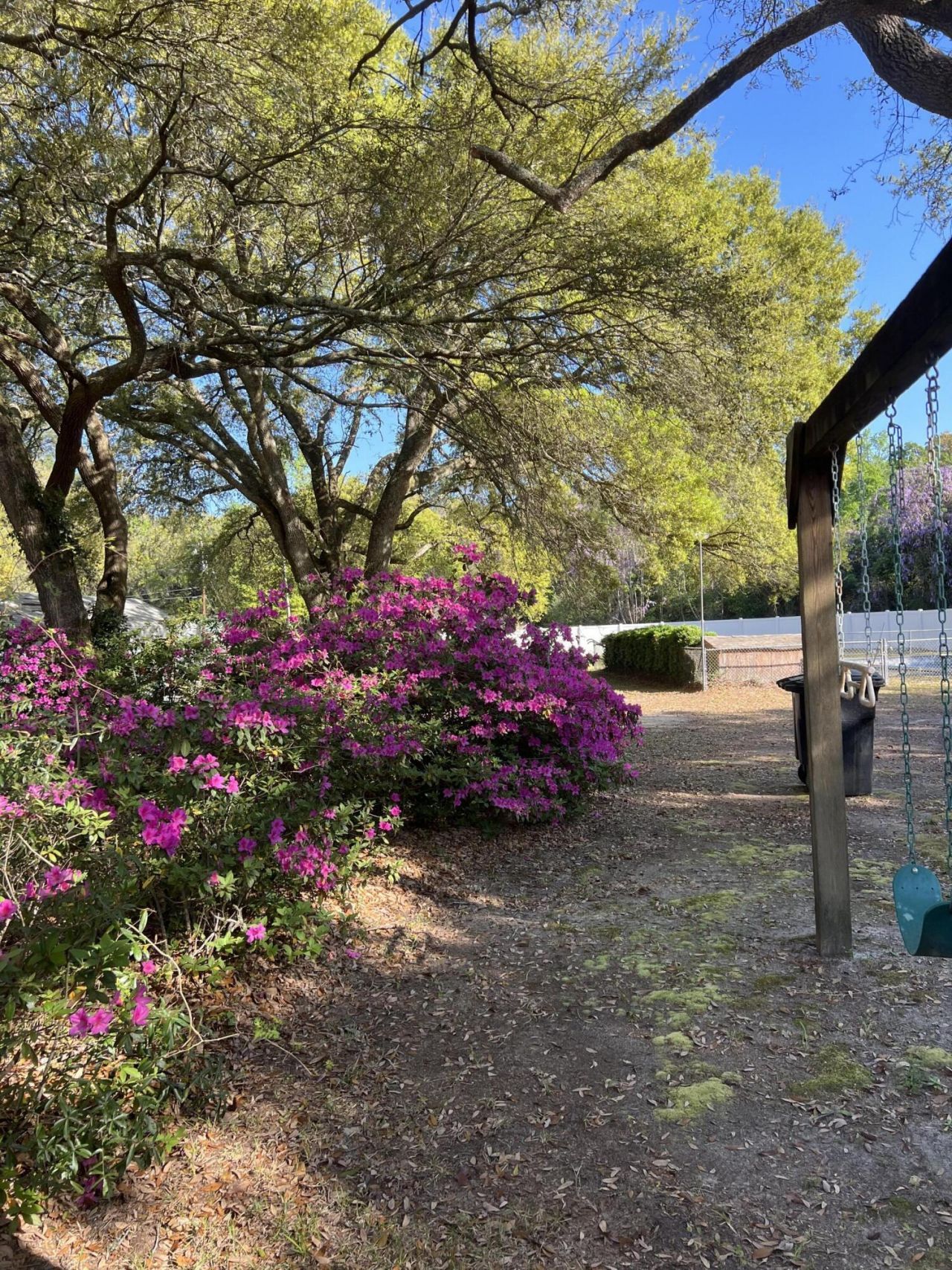 204 Gervais Street Photo 11