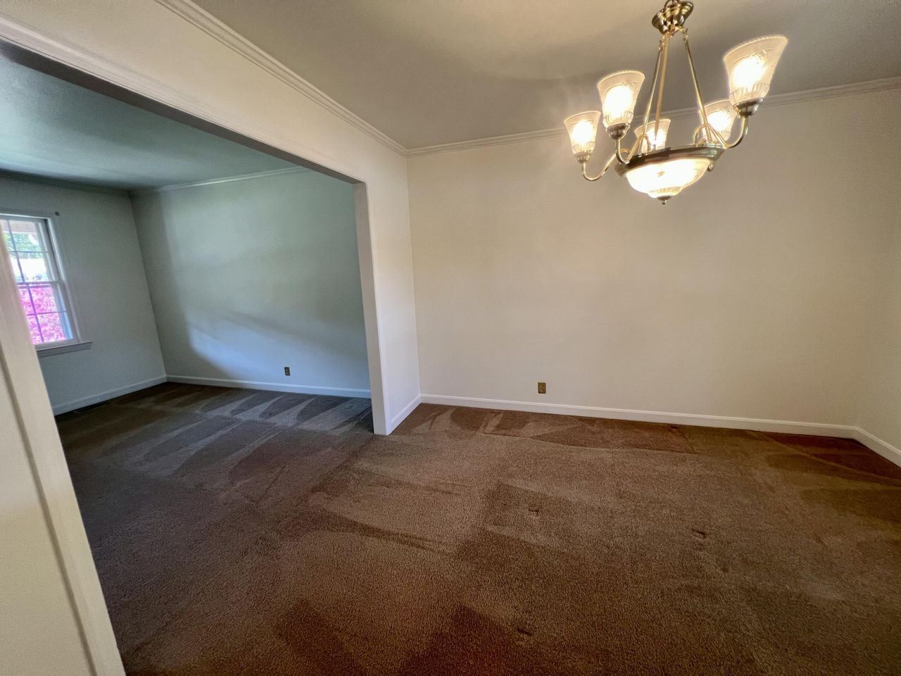 204 Gervais Street Photo 16