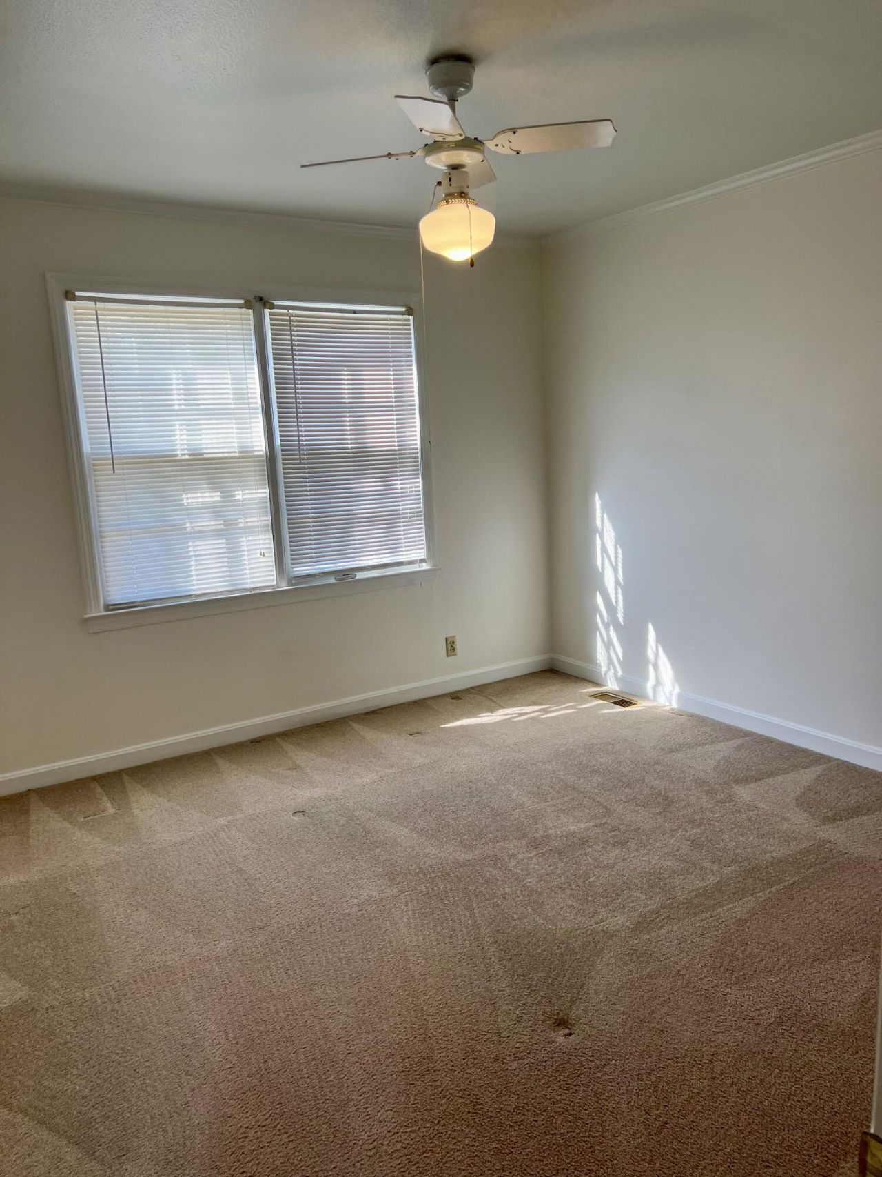 204 Gervais Street Photo 36