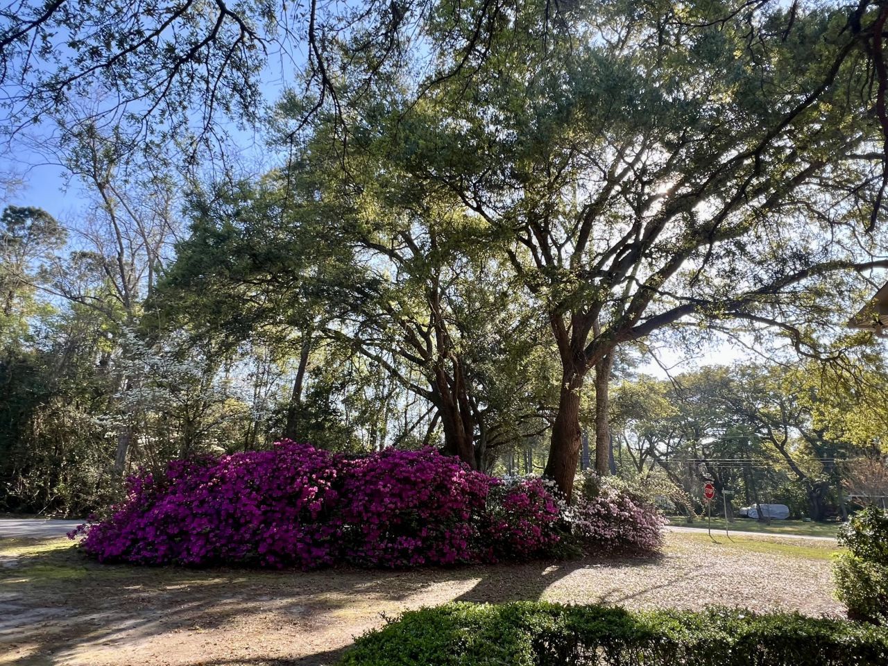 204 Gervais Street Photo 52