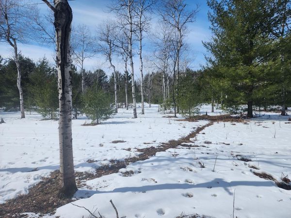 Hall Creek Road, Interlochen, MI 49643