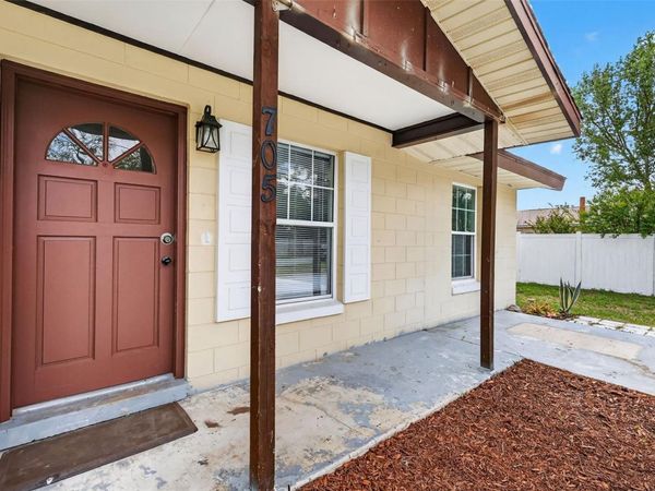 705 MIKE AVENUE, FRUITLAND PARK, FL 34731