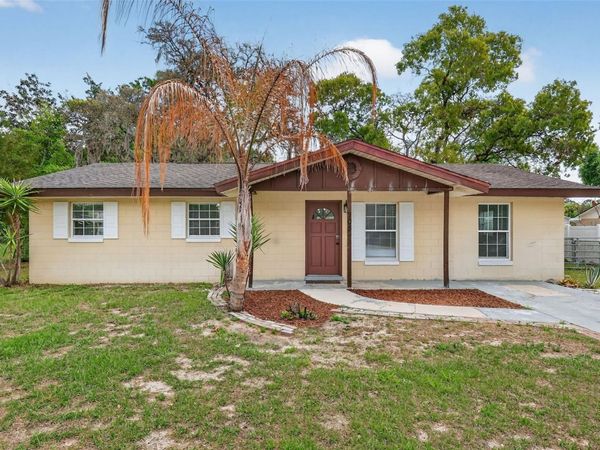 705 MIKE AVENUE, FRUITLAND PARK, FL 34731