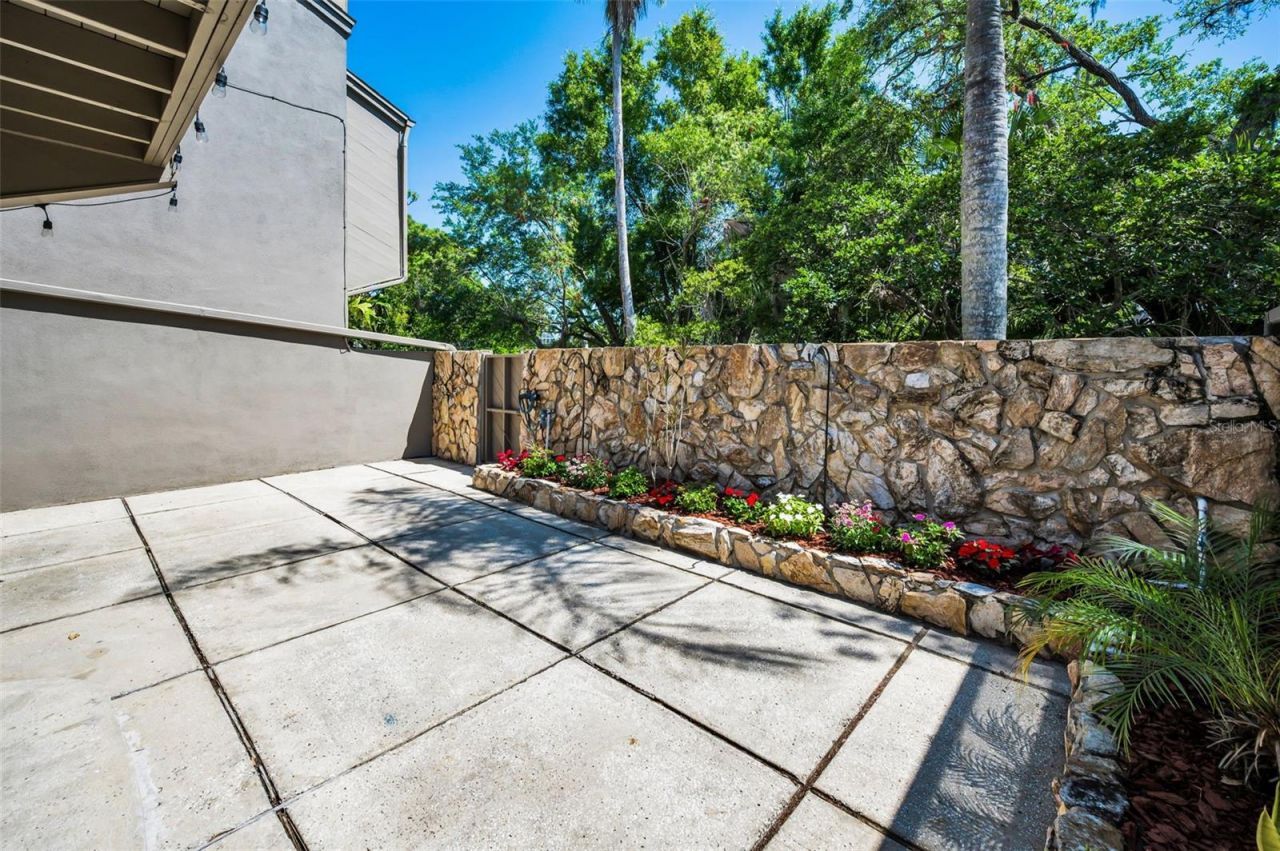 1111 N Bayshore Boulevard, Unit E3, Clearwater, FL 33759 Photo