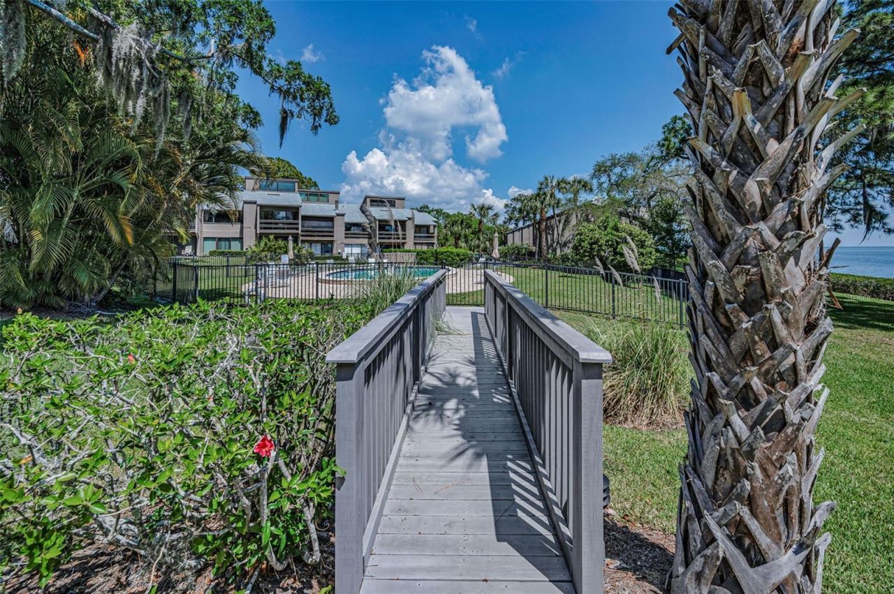 1111 N Bayshore Boulevard, Unit E3, Clearwater, FL 33759 Photo