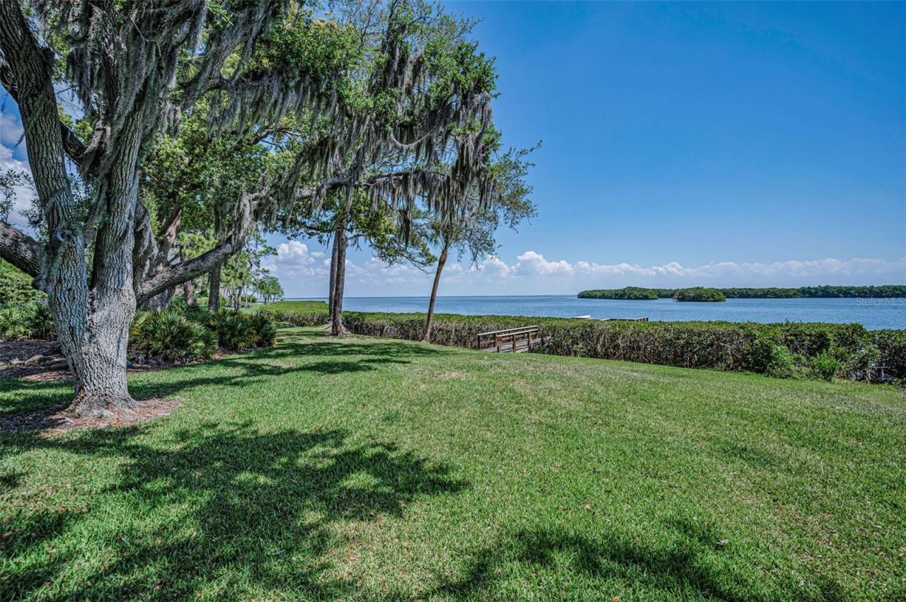 1111 N Bayshore Boulevard, Unit E3, Clearwater, FL 33759 Photo