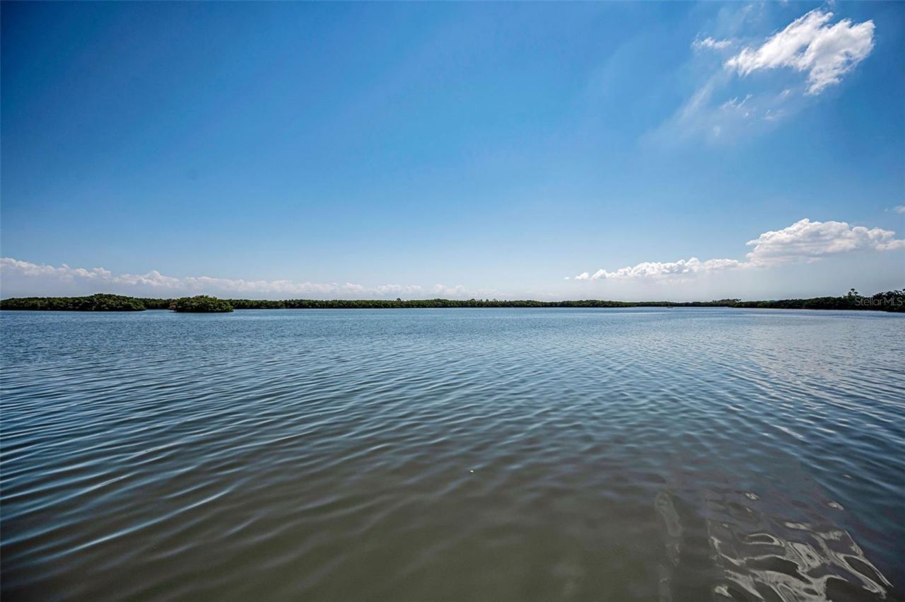 1111 N Bayshore Boulevard, Unit E3, Clearwater, FL 33759 Photo