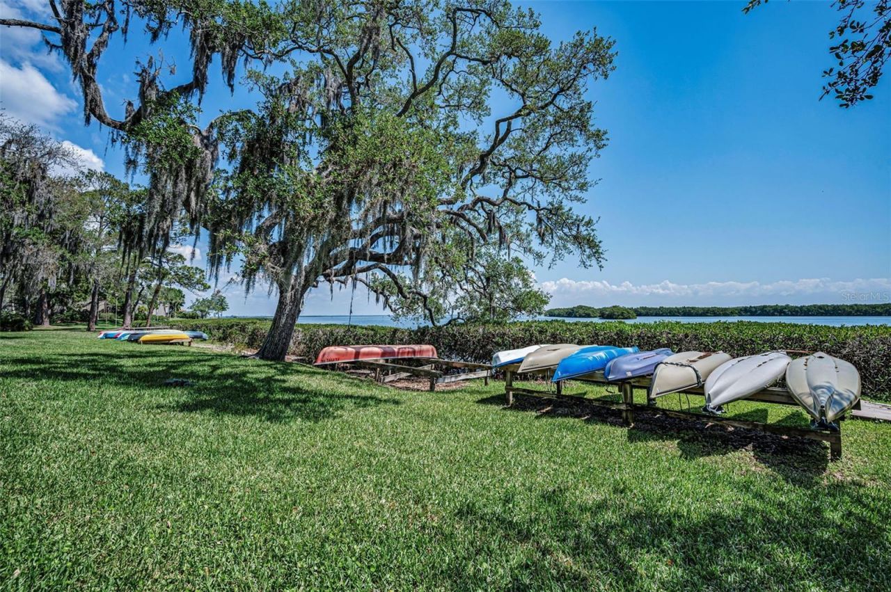 1111 N Bayshore Boulevard, Unit E3, Clearwater, FL 33759 Photo