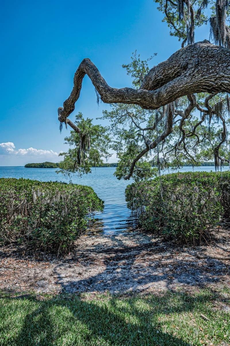 1111 N Bayshore Boulevard, Unit E3, Clearwater, FL 33759 Photo